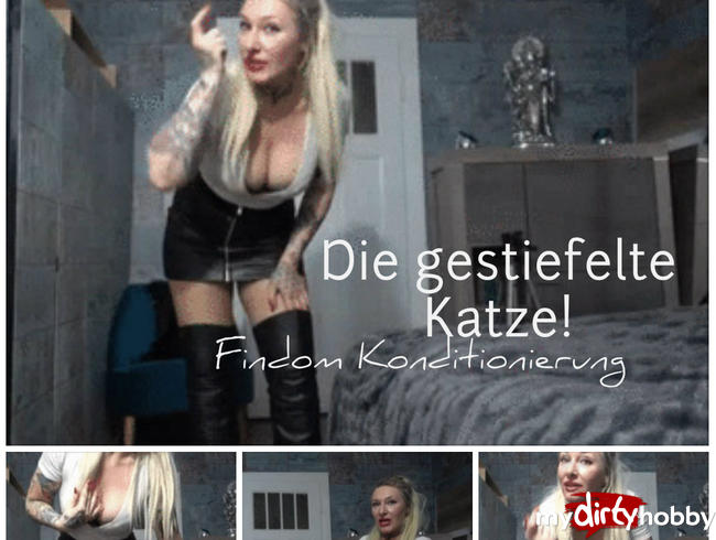 Die gestiefelte Katze! Stiefel, Nylon & Röckchen Konditionierung!